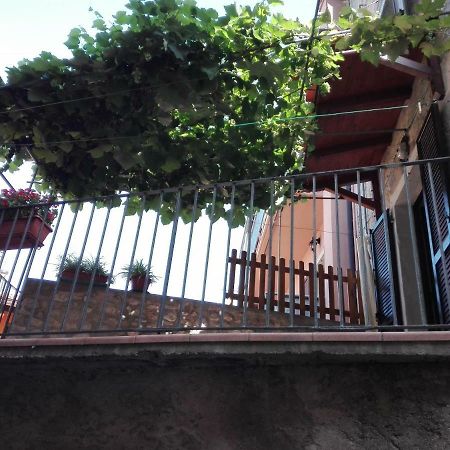 Casa Marilena Apartment มัลเชซิเน ภายนอก รูปภาพ
